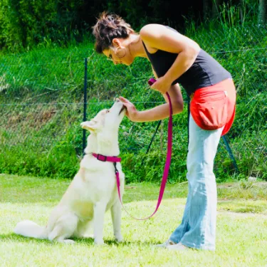 Chien heureux éduqué par Wonder Dog en Charente