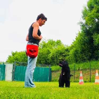 Suivi personnalisé éducation canine Approche d'éducation positive pour chien par Wonder Dog